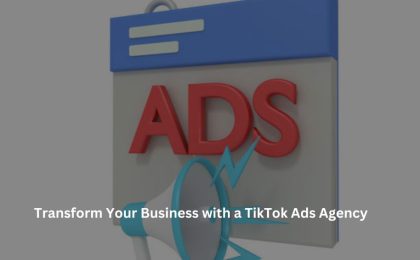 TikTok Ads Agency